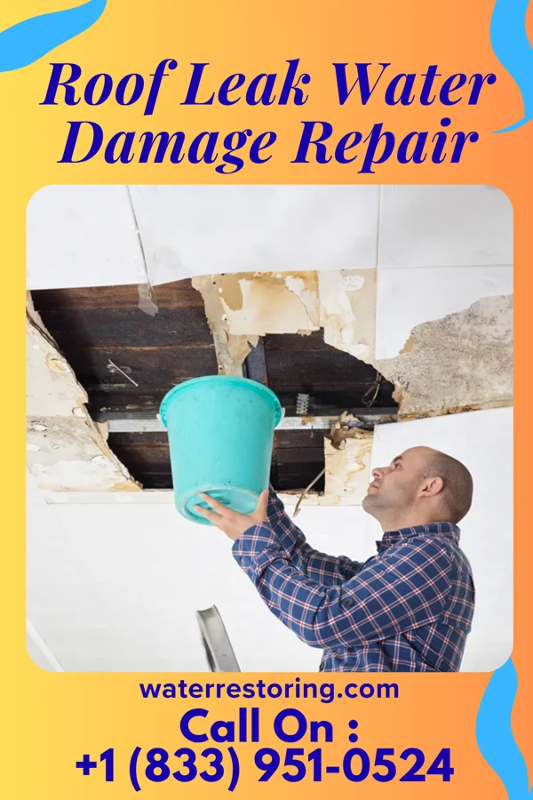 Roof Leak Water Damage Repair in Independence, OR